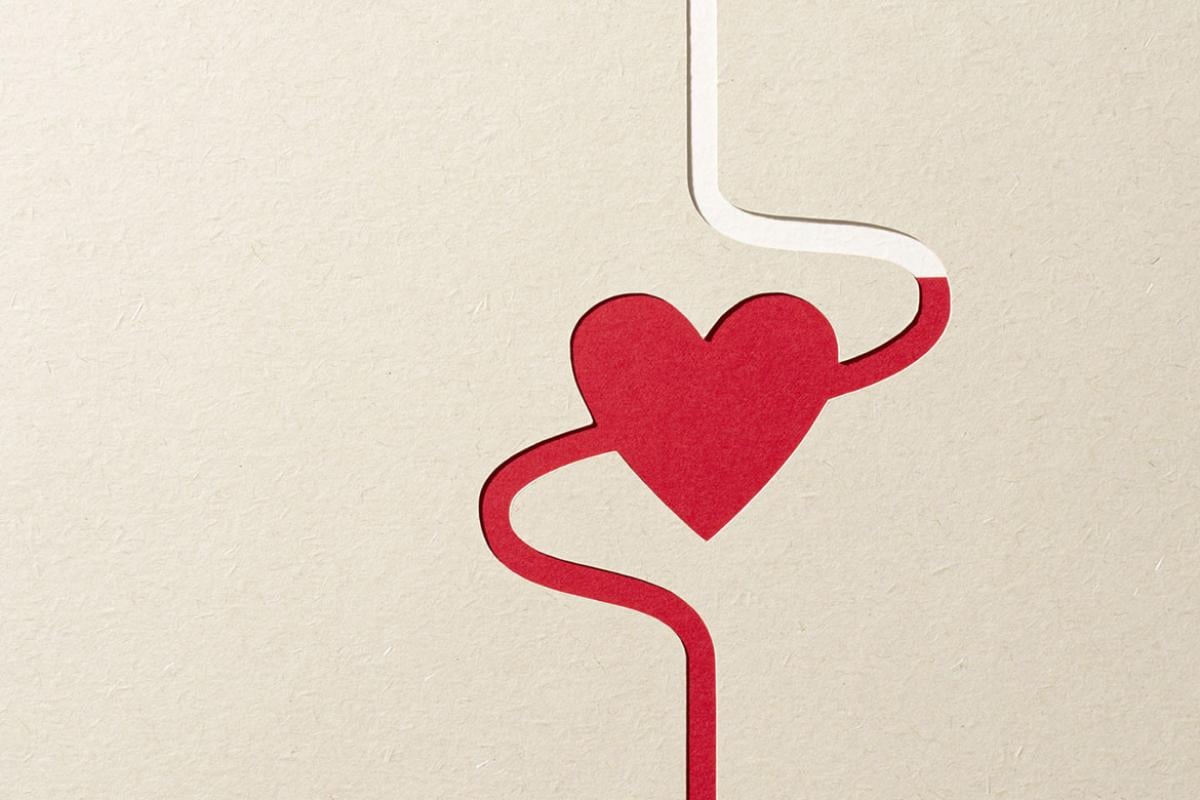 Paper heart filled with blood flow