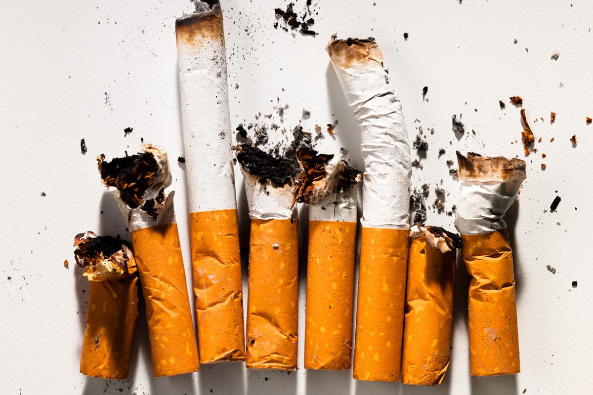 Smoked cigarettes in row 