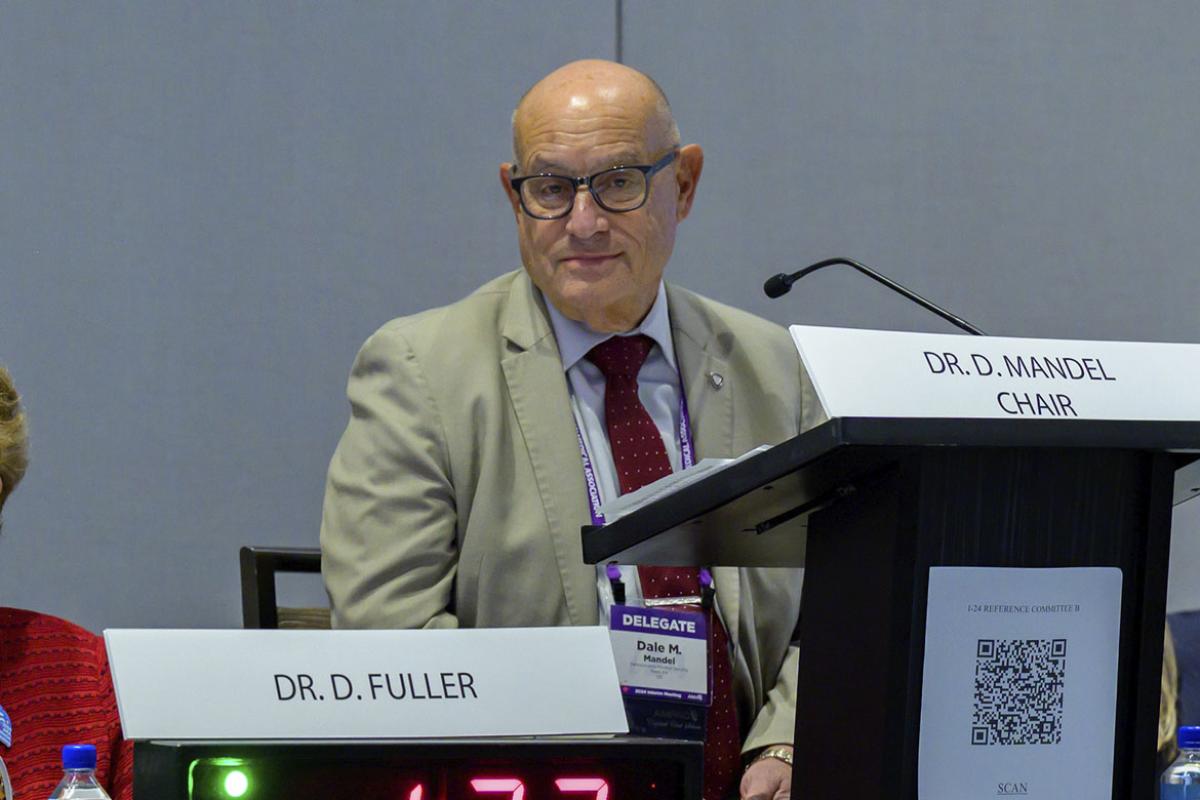 HOD Reference Committee B, 2024 Interim Meeting