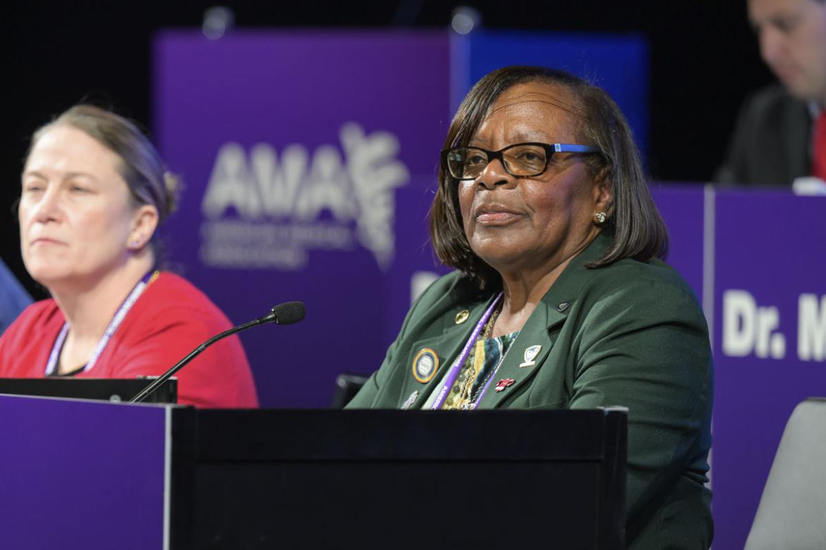 HOD Reference Committee C, 2024 Interim Meeting